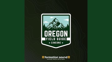 Suavie Strawberry Fields