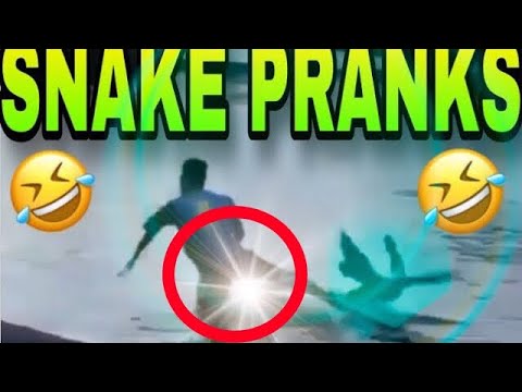 snake-pranks-of-the-year-[-funny-video-you-laugh-you-lose-200%-v35-]