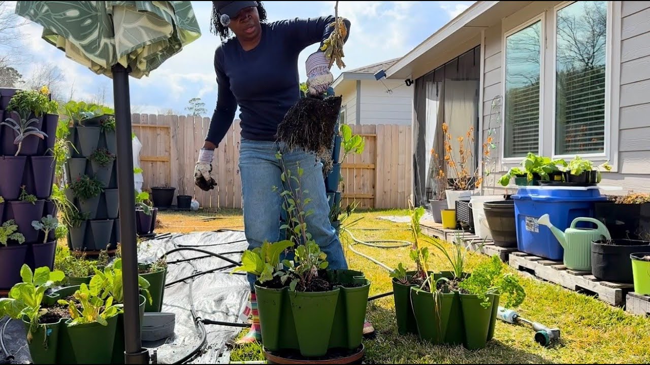 Fixing my leaning Evergreen GreenStalk Planter.