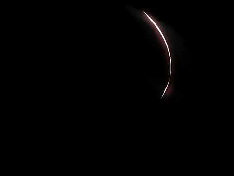 حابب ماعكي أعيش الصوت المصري بيجنن