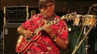 Conjunta Angola 70 - 2 - LIVE at Afrikafestival Hertme 2012