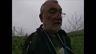 A Walk around the Naze