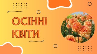 картинка: Розумнички № 29. Осінні квіти.