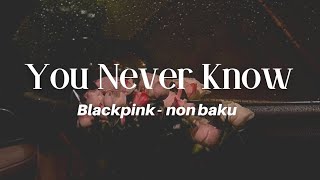 Blackpink - You Never Know || Lirik Terjemahan Sub Indo - Non Baku
