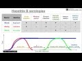 Hepatitis B serologies