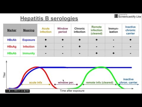 Hepatitis B Testing Chart