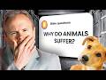 Why Does God Allow Animals to Suffer?