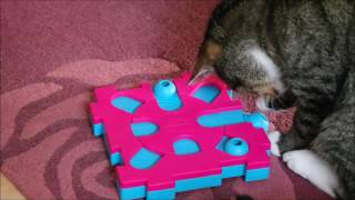 Testbericht: Cat MixMax Puzzle B
