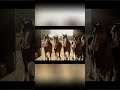 Budweiser Brings Back the Clydesdales to Launch Its Super Bowl LX Campaign