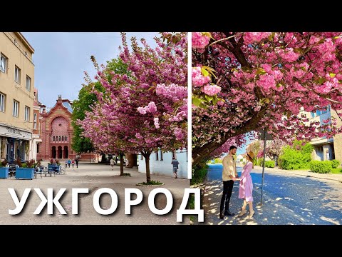 УЖГОРОД найбезпечніше місто? | КАМОН |