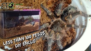 Diy Tarantula Enclosure For Less Than 100 Pesos