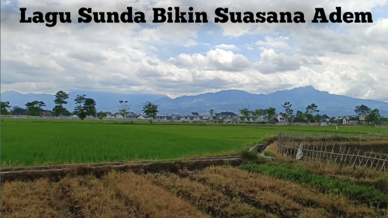 Lagu sunda bikin suasana jadi asri, adem dan jadi lagu yang pas untuk hari istirahat