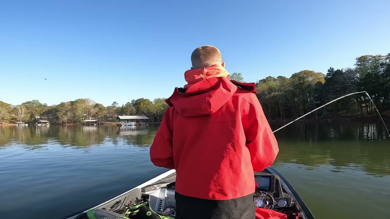 Lake Hartwell Bass Fishing Bass Manager The Best Bass Fishing Page
