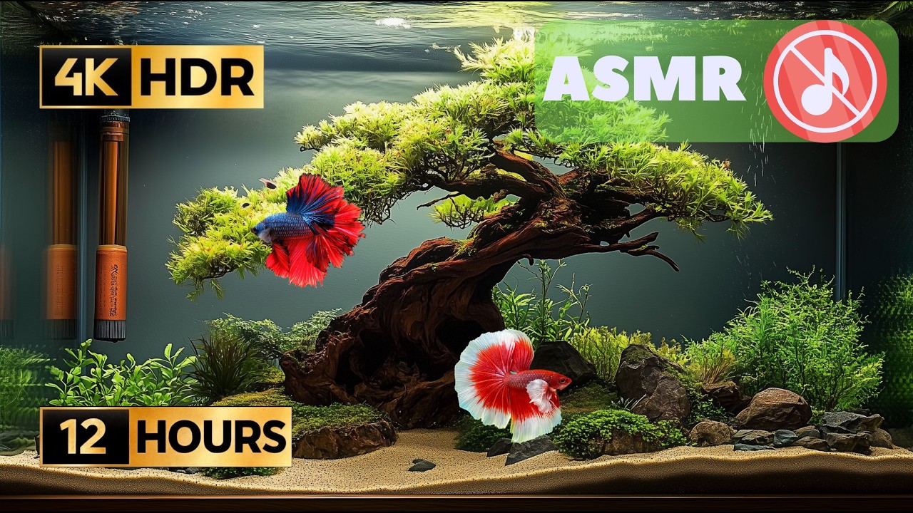 4K Bonsai Aquarium 12 Hours - Zen Japanese Garden Style - No Music, Natural Water Sounds