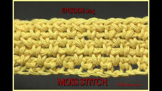 Stitch Gallery & Glossary Episode #24: Moss Stitch (Linen Stitch)