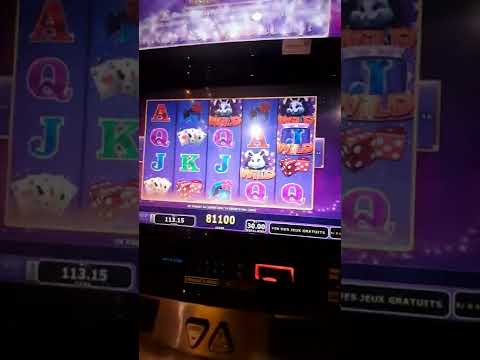 Disfruta del emocionante juego de casino Rabbit Road App: ¡Juega en línea desde México!