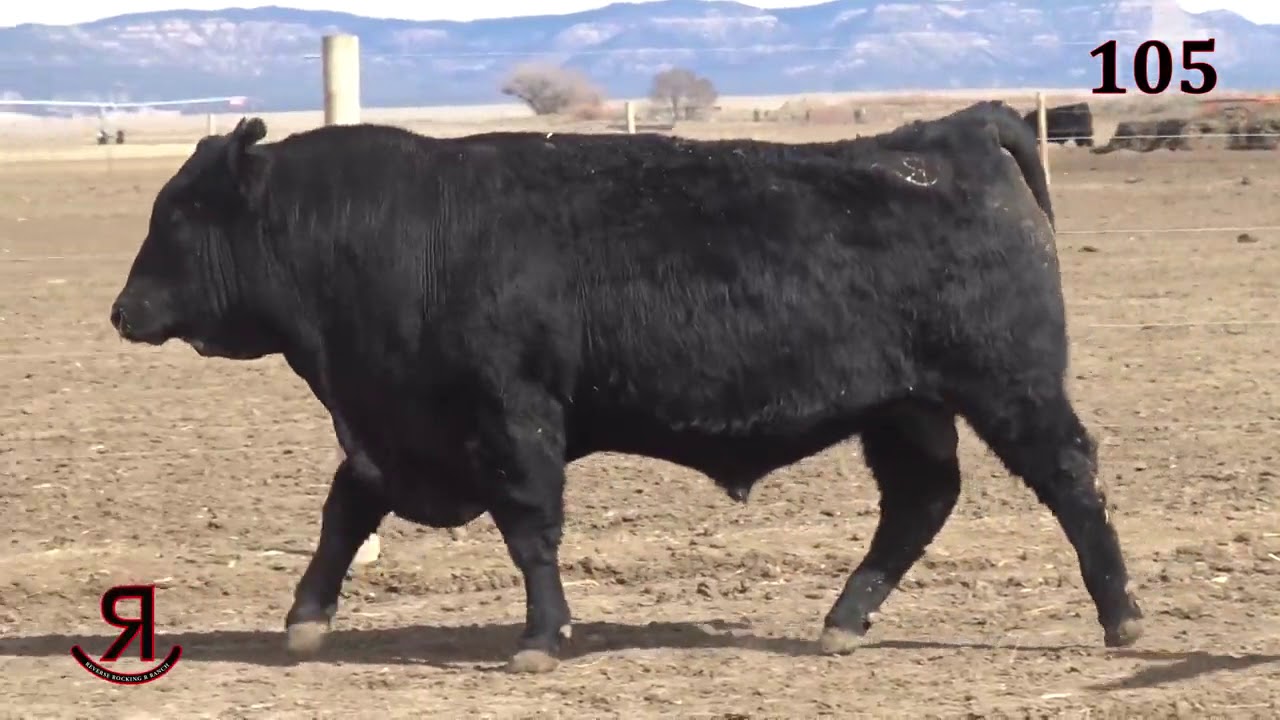Reverse Rocking R Ranch Lot 105 - YouTube