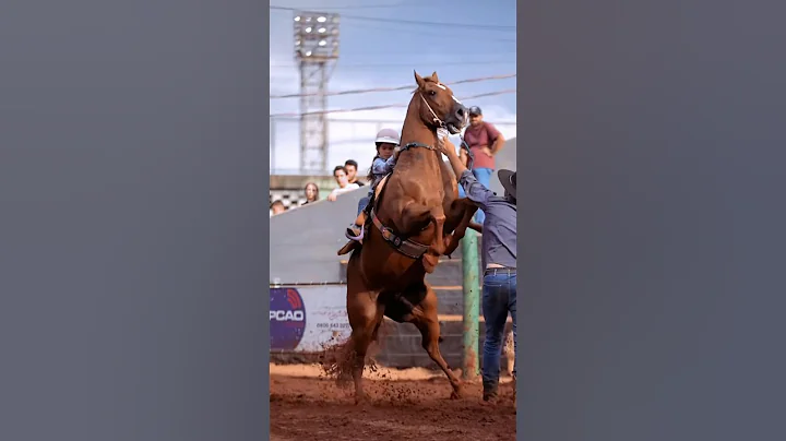 Larissa Lobo Little Cowgirl run in 12.469 seconds!🔥🙌