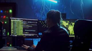 Wordpress Developer Digital Marketing Expert