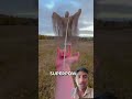 Wait For The Dog’s Unexpected Twist 🐶😱~working art skillwood/ hand crafts #shorts #trending #viral