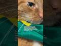 Nem vem hein.. #brasil #alemanha