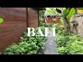 Bali  nov 2022