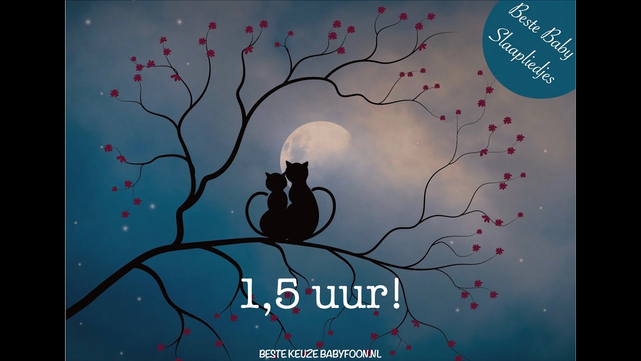 1,5 uur Slaapliedjes en Babyfoon muziek | ♥♥♥ | Bedtijd | ♫♫♫ | Brahms Lullaby slapende diertjes