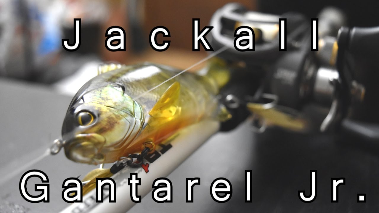 Fishing with Expensive Swimbait (35) YouTube