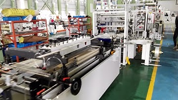 CWZD-C+FD 2 Lines  doypack pouch machine with cutting device