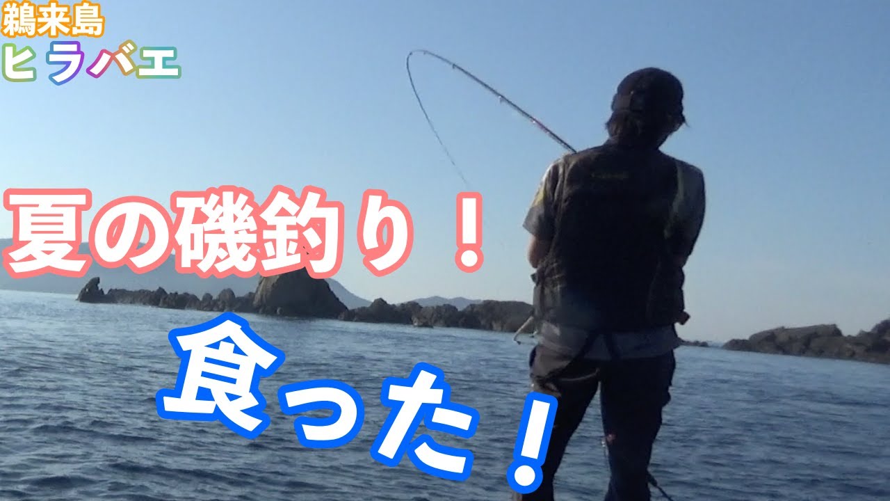 鵜来島で磯釣り 夏グレにルアーフィッシング とにかく暑い Youtube 鵜来島で磯釣り 夏グレにルアーフィッシング とにかく暑い Youtube