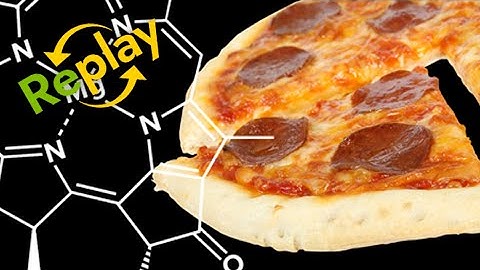 The Science of Hunger