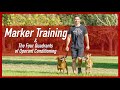 Marker Dog Training & The Four Quadrants of Operant Conditioning