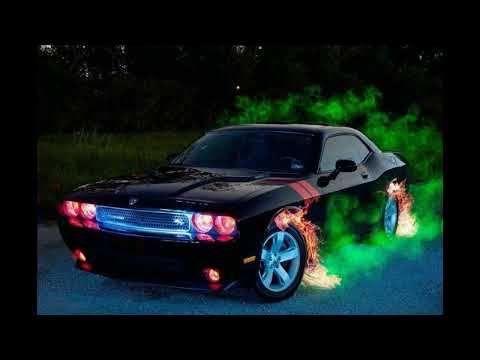 Газуй малой ARCHI