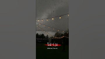 قال لاتخافا إنني معكما أسمع وأرى القارئ شريف مصطفى 🤍