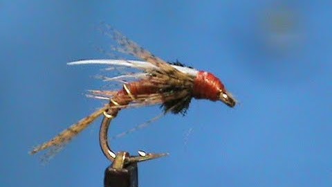 Beginner Fly Tying a Biot Wing Nymph with Jim Misiura