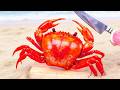 $1000 Dish! 💎 Delicious Crab Linguine With Garlic & Chili 🦀 ASMR Cooking Mini Food