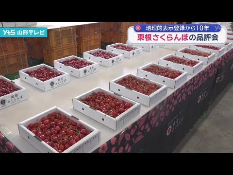 Higashine cherry 