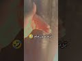 ترند جديد اذا تمطر ملح بيدك عل جرح ترند الملح بدون ملح تيك توك اكسبلور لايك اشتراك ترند لاي