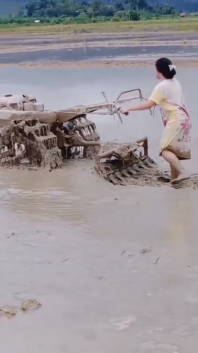 viral! bajak sawah pakai traktor, wanita cantik ini malah kena hujatan oleh netizen Indonesia