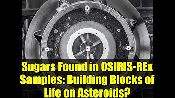 Sugars Found in OSIRIS-REx Samples: Building Blocks of Life on Asteroids?