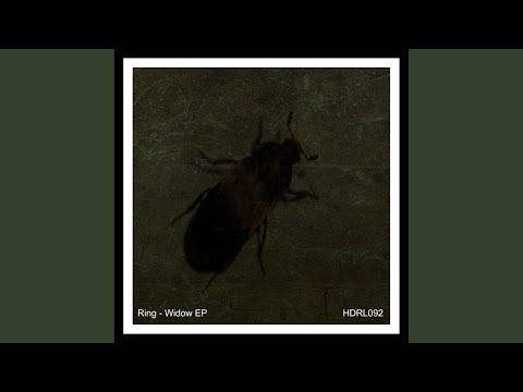 Spoiler (Original Mix)