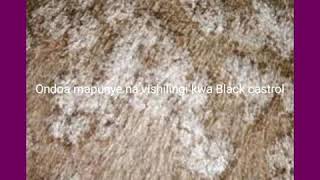 Black Castor Oilmafuta Ya Mnyonyo