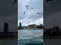 Dolmabahçe Sarayı İstanbul
