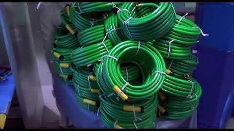 Inspector Gadget (1999) - The Operation