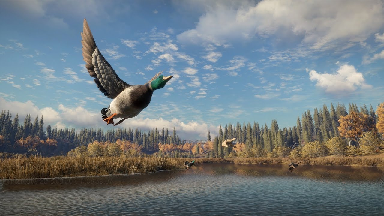 TheHunter Call of the Wild Caça aos Patos (Duck's Hunting) YouTube