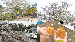 Living in Japan | Kichijoji vlog, ghibli vibes, spring, shopping, anime 