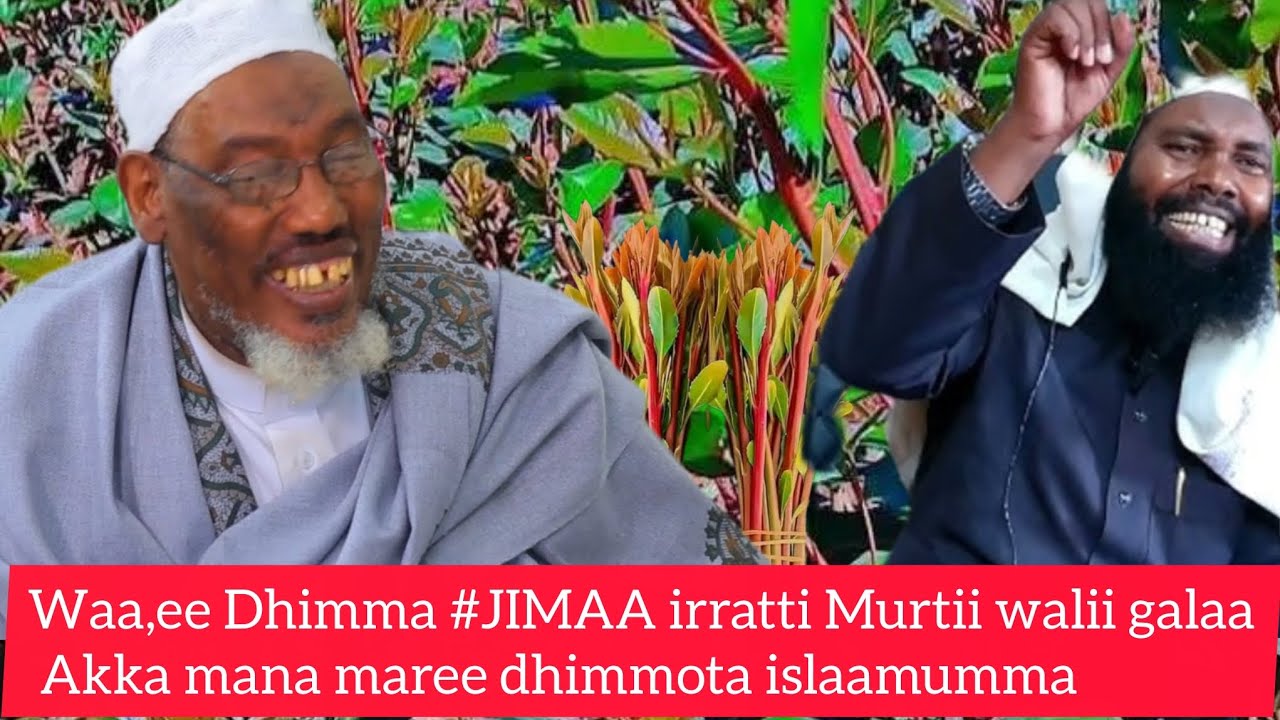 Murtii walii galaa Waa,ee #Jimaa irratti Muftiin Sheek Muusa Su,aala ...