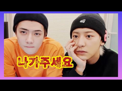 여러분 나가 주세요 |  단호한 세훈이는 참지 않긔