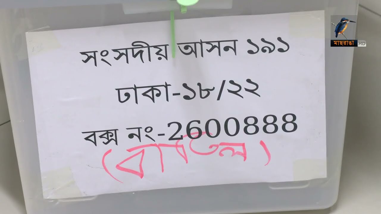 পোস্টাল ব্যালটে ভোটের চিত্র | Election | Postal Ballot | Maasranga News