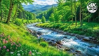 Beautiful relaxing music 2026 🌿 Relieve stress, calm mind, balance inner spirit, restore the heart
